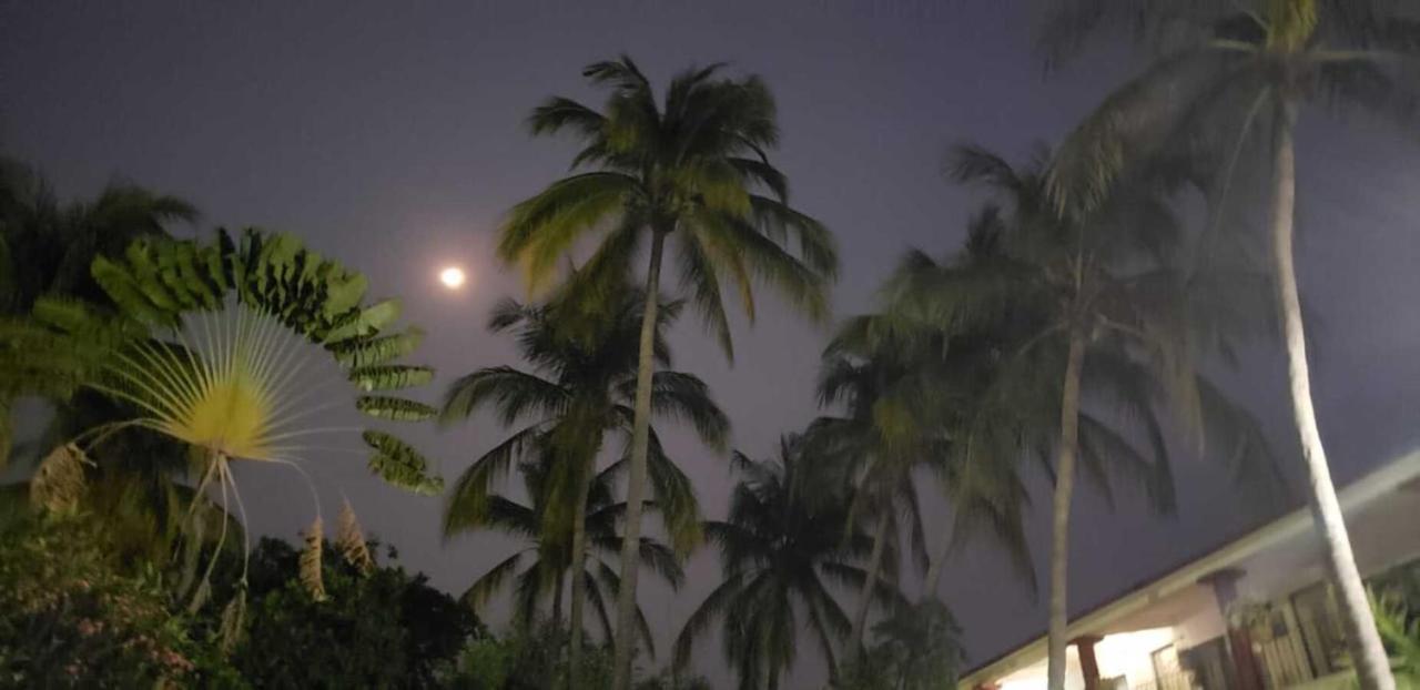 Hotel Albatros ปูแอร์โตเอสกอนดิโด ภายนอก รูปภาพ